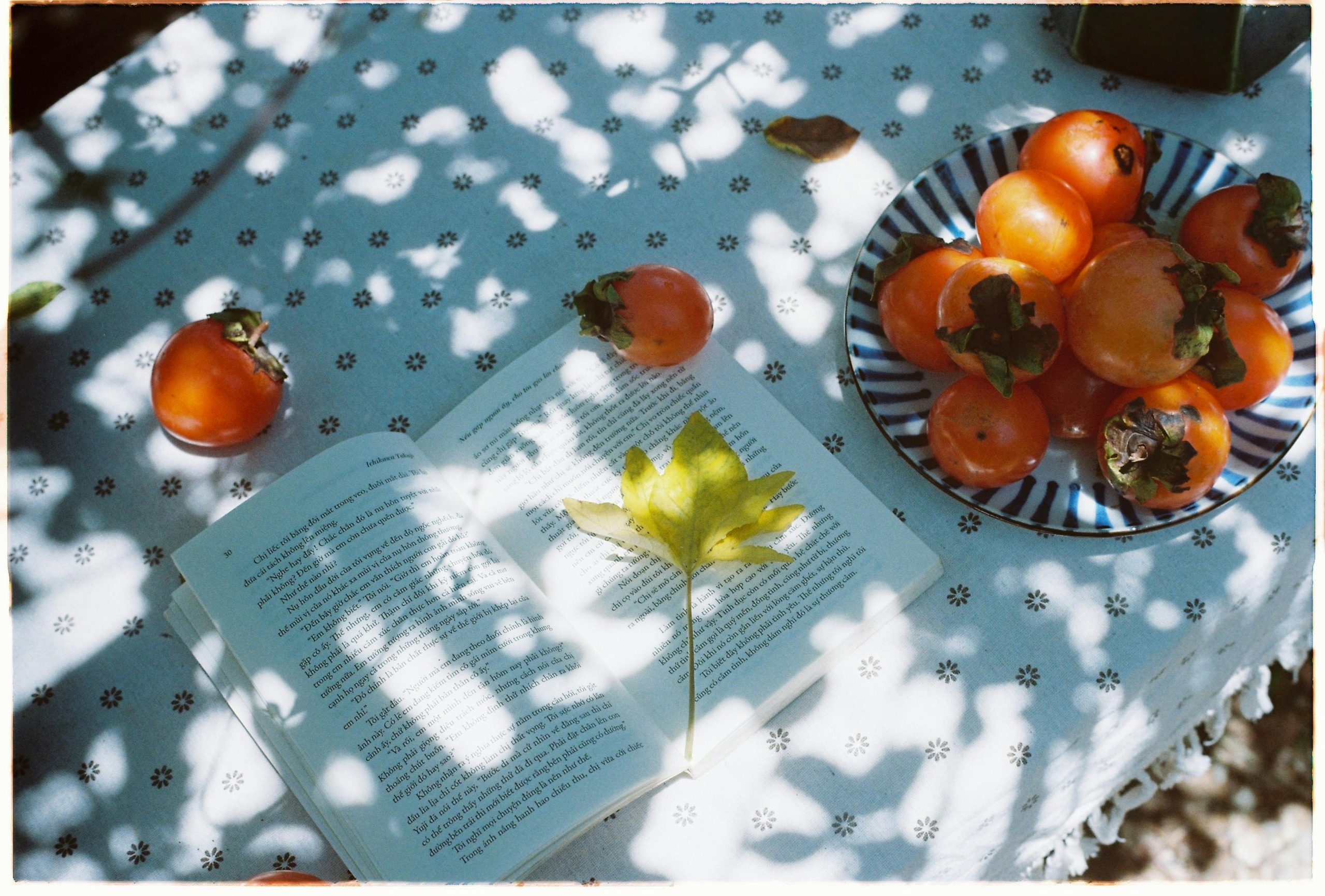 Serene autumn scene with persimmons, a book, and dappled sunlight on a table.